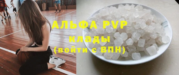 прущие грибы Кострома