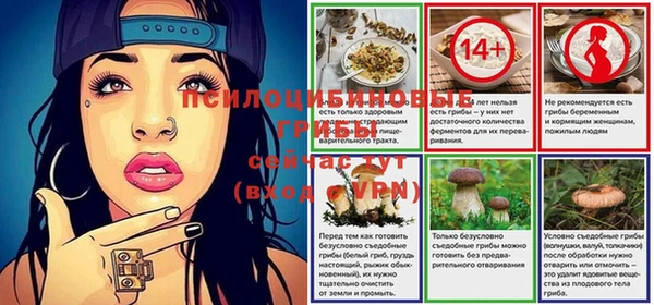 spice Баксан